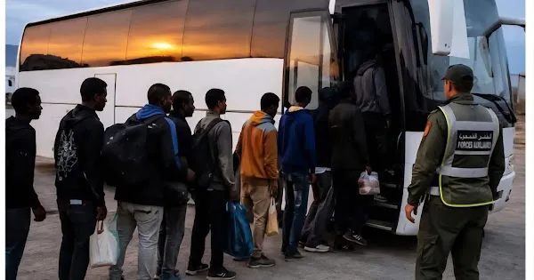 Search Results: 33 Missing Comorian Youths