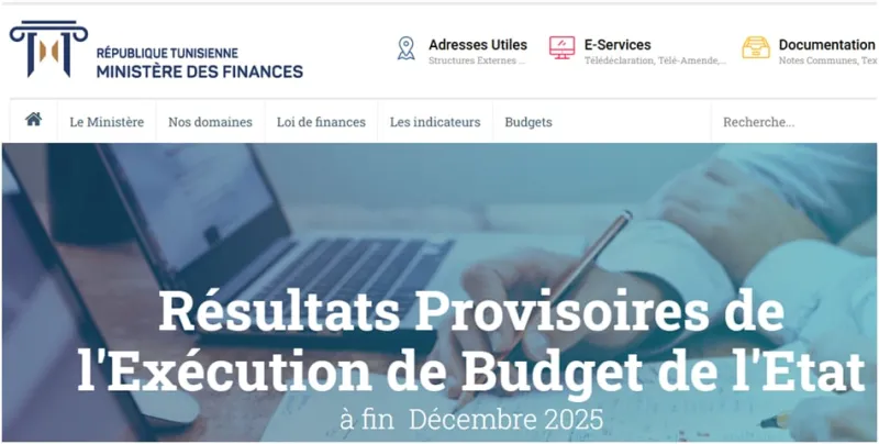 Senegal's 2025 Non-Tax Revenue: Risks to Future Stability