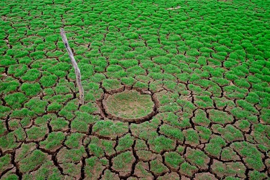 Senegal's Fall: No Legal Threat to Land Title