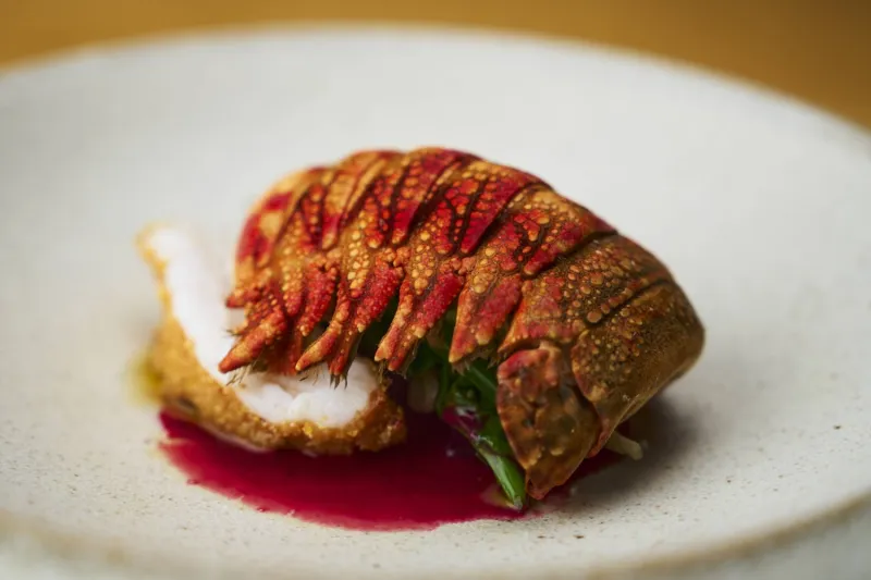 Senti.U: Kyushu's New Culinary Destination
