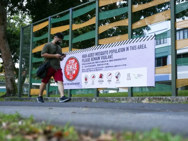Cas de dengue à Singapour au plus haut de 2026
