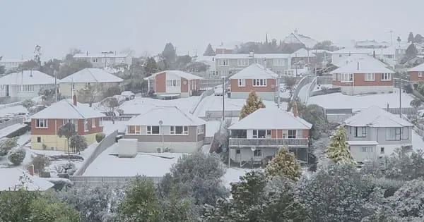 Snow closes Dunedin schools, highways; sleet hits Wellington