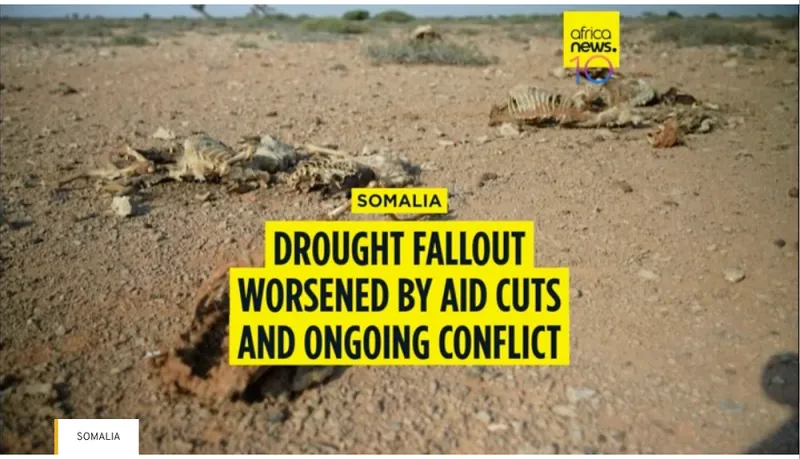 Somalia drought worsens amid aid cuts and conflict