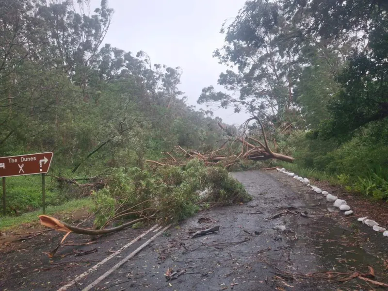 South Africa Declares National Disaster Over Severe Weather