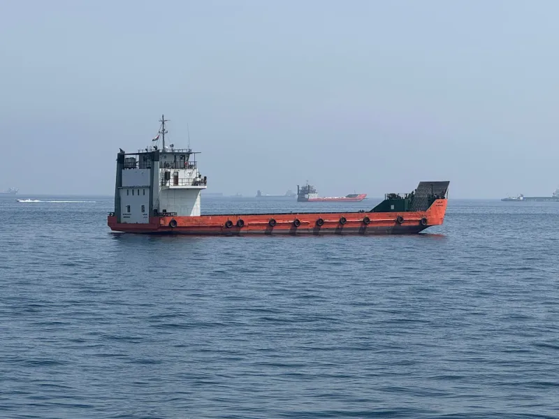 South Korean Vessels Clear Strait of Hormuz