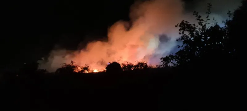 Southend Park Fire Likely Caused by Stray Firework