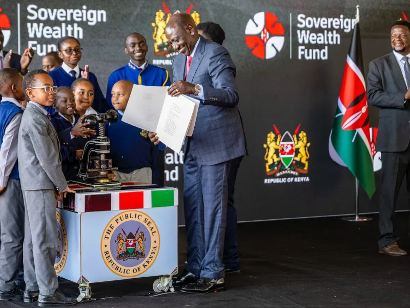 Sovereign Wealth Funds Surge Across Africa