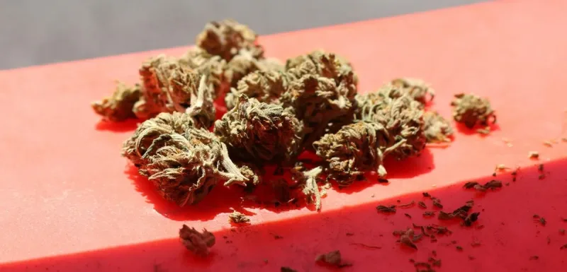 Spanish police uncover drug tunnel from Morocco to Ceuta