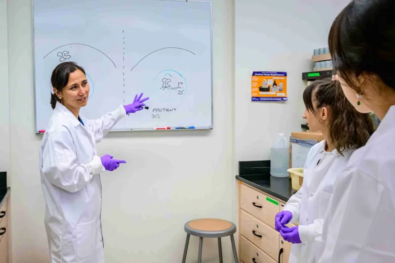 Spatial mapping reveals tumor complexity, aiding cancer research