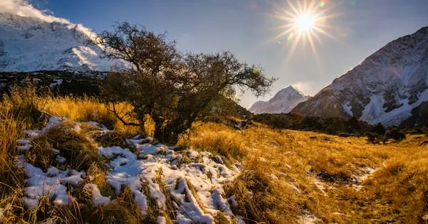 Spring weather whiplash: Snow, rain and a 'wintry chill' forecast