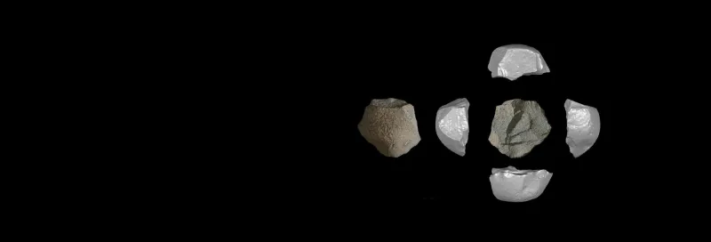 Outils en pierre en Chine datés de 146 000 ans