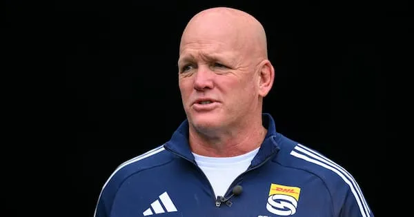 Stormers Warn Rugby Tours at Risk in All Blacks Clash