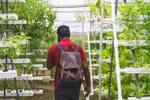 Students Build Hydroponic Tower for Sustainable Farming