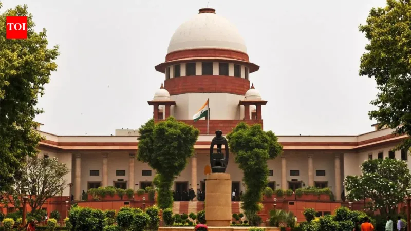 Supreme Court allows 15-year-old to terminate 30-week pregnancy