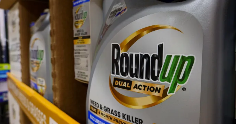Supreme Court sides with Monsanto in Roundup case