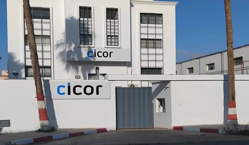 Swiss Cicor sells Tunisian plant in restructuring