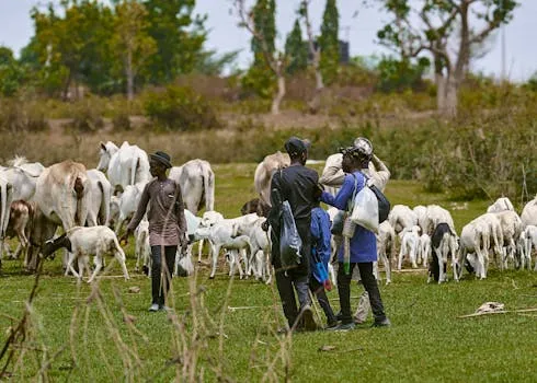 Tabaski 2026: Herders Urge State Action Amid Regional Uncertainty
