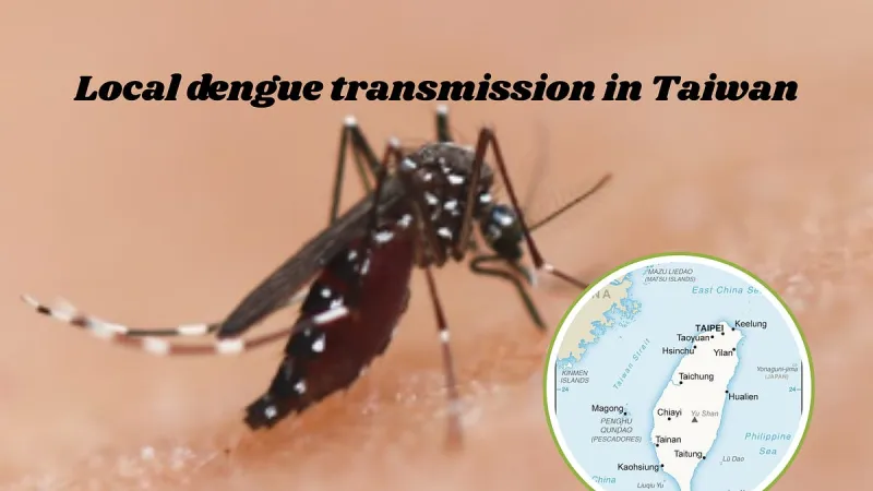 Taiwan signale le premier cas local de dengue de 2026