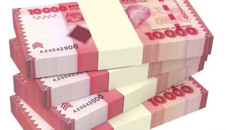 Tanzania Allocates 56.25bn/- to Complete 105 District Hospitals