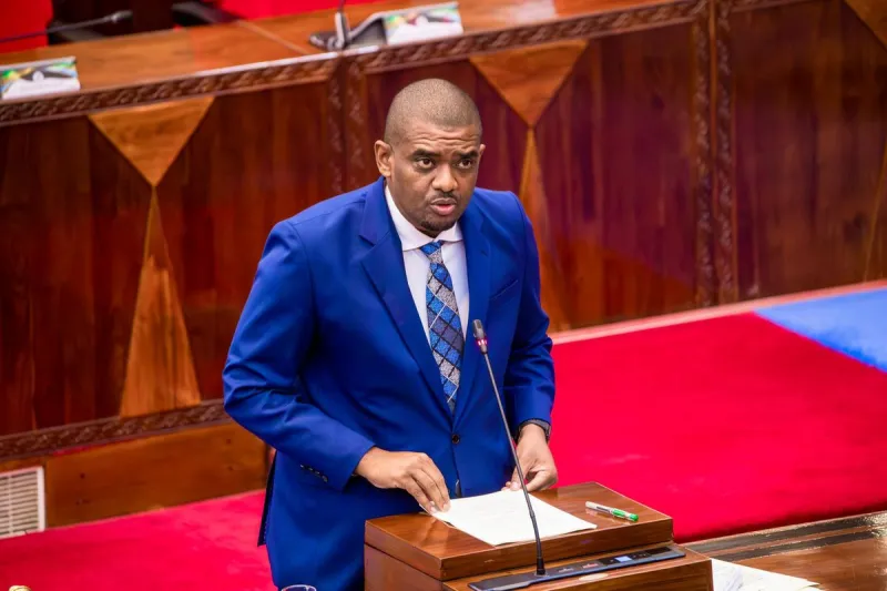 Tanzania tables $1.6bn energy budget for 2026/27