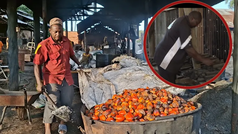 Un agriculteur tanzanien transforme les déchets de palmier en énergie propre et en emplois
