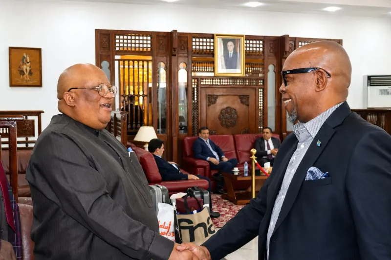 Tanzania's Matinyi Begins Algeria Ambassador Role