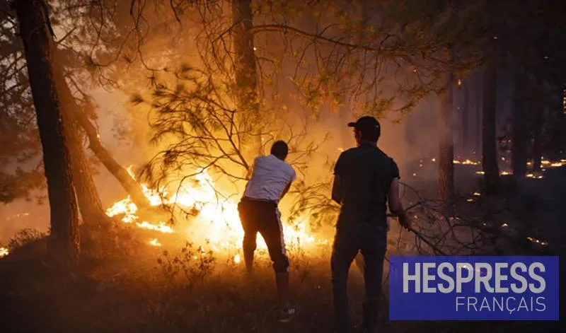 Taroudant Wildfire Contained; Investigation Underway
