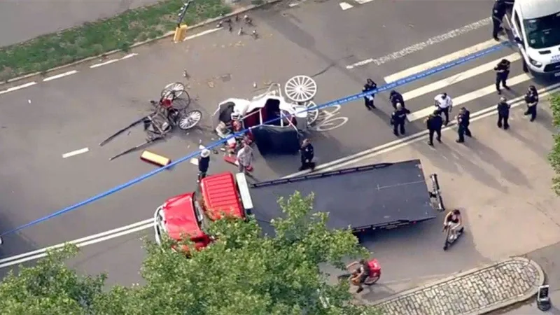 Tourist dies in Central Park horse carriage crash