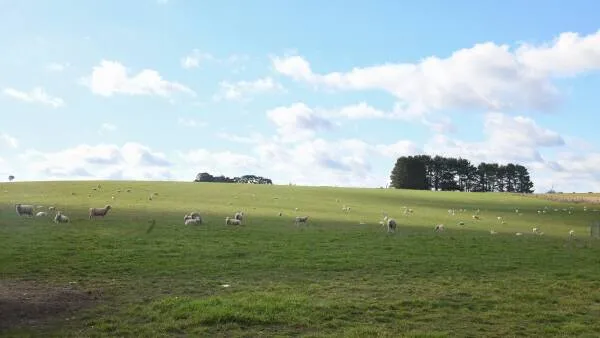 Town's Solar Farm Fight Nears Deadline
