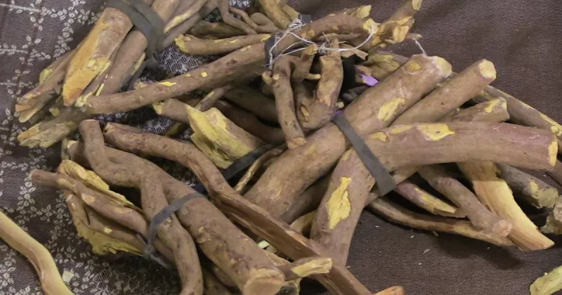 Traditional Medicine Thrives in Bamako, Easing Health Costs