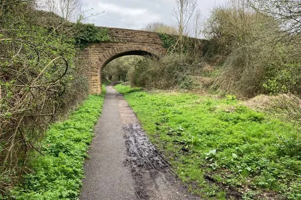 Traffic-free Somerset bike ride with stunning views