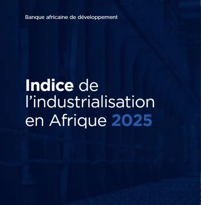 Tunisia Ranks 5th in Africa Industrialization Index