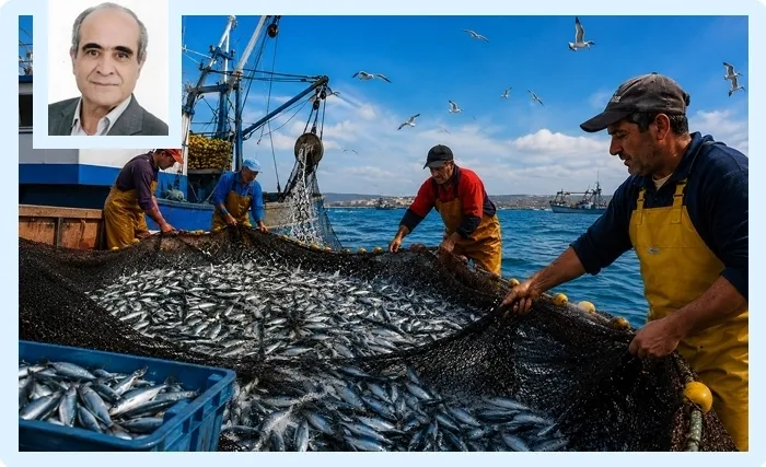 Tunisian Sardine: A National Treasure Under Threat