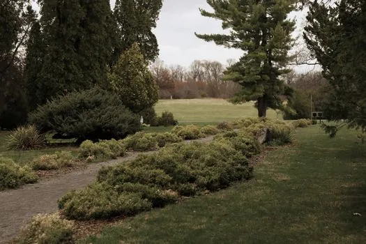 Tusculum University Arboretum Recertified at Level 1