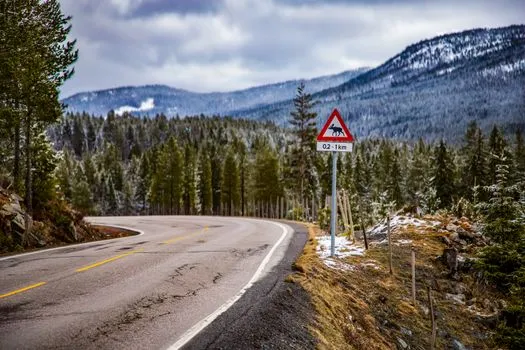 Two dead in Moose River crash in Lewis County