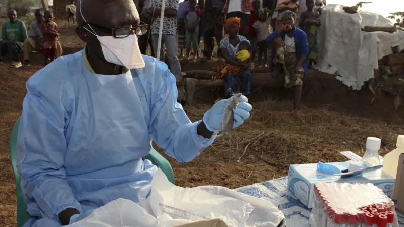 Two Doctors Die in Benue: Lassa Fever and Bone Marrow Failure