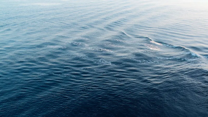 Two French Missing at Sea Off Morocco