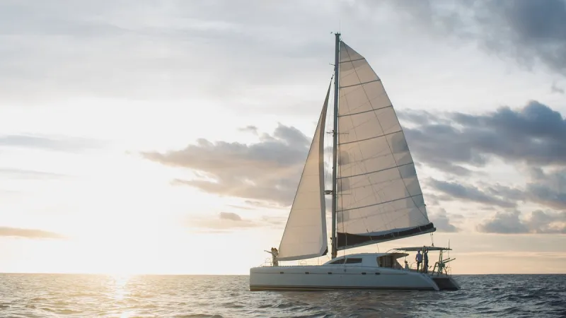 Two French sailors missing at sea found alive by cargo ship