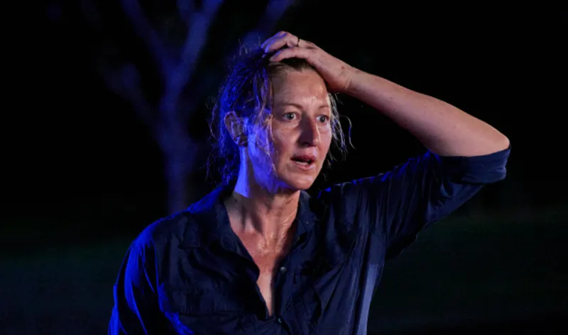 Two Murder Mysteries with Perfect Rotten Tomatoes Scores