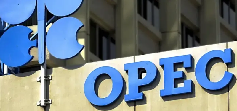 UAE Denies Plans to Leave OPEC, Official Says