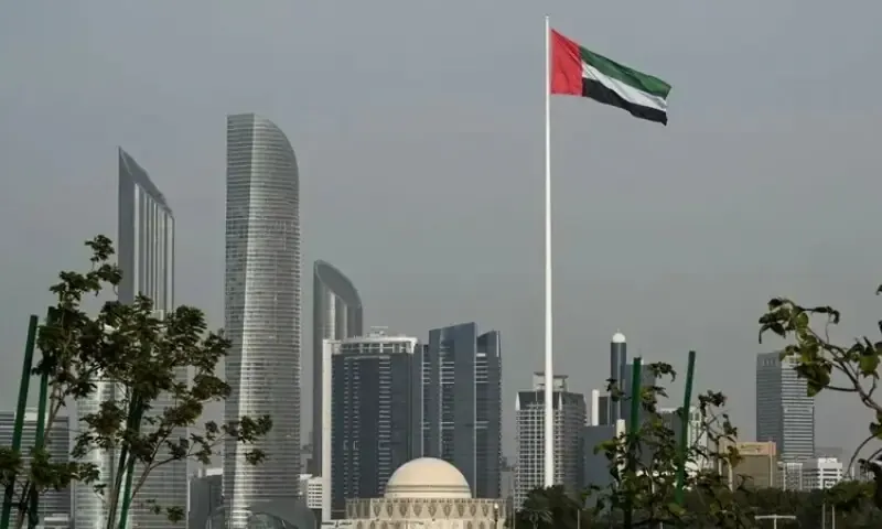 UAE Deportations: Senate Panel to Review Claims