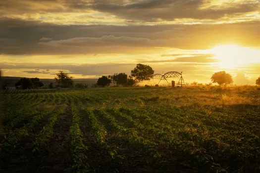 Uganda Parliament Approves Shs734B for Solar Irrigation
