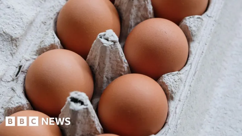 UK Salmonella Outbreak: One Dead, 207 Cases Linked to Eggs