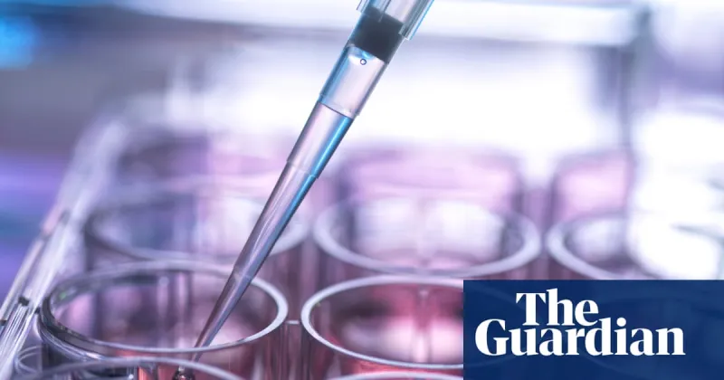 UK stem cell transplant system 'risks lives', MPs warn