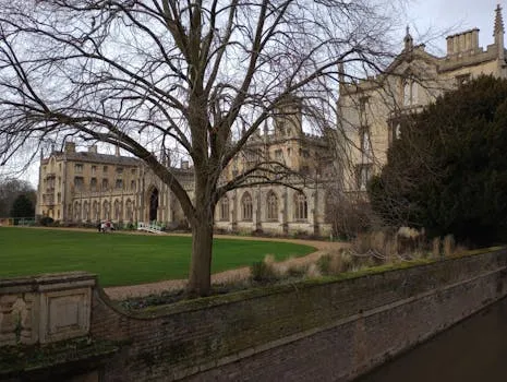 UK Student Dies After Meningitis Cases at College