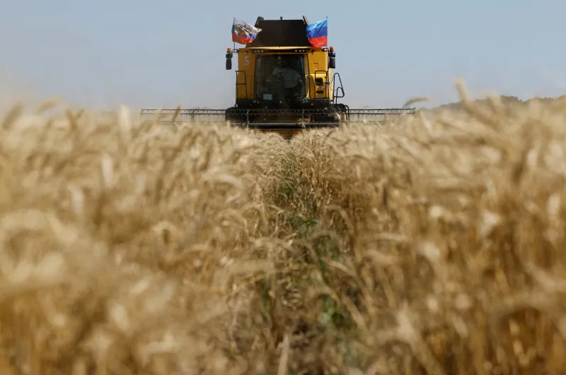 L'Ukraine exhorte Israël à saisir un navire pour du grain volé