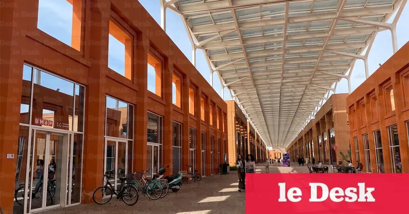 UM6P Launches 'The Pulse' Africa Startup Data Platform