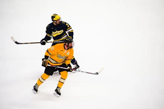 Anciens de l'Union College brillent dans l'ECHL