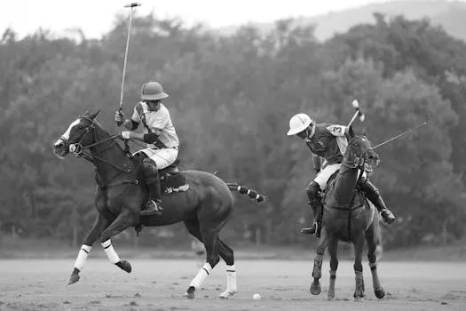 US Embassy Congratulates Morocco on Polo Cup Success