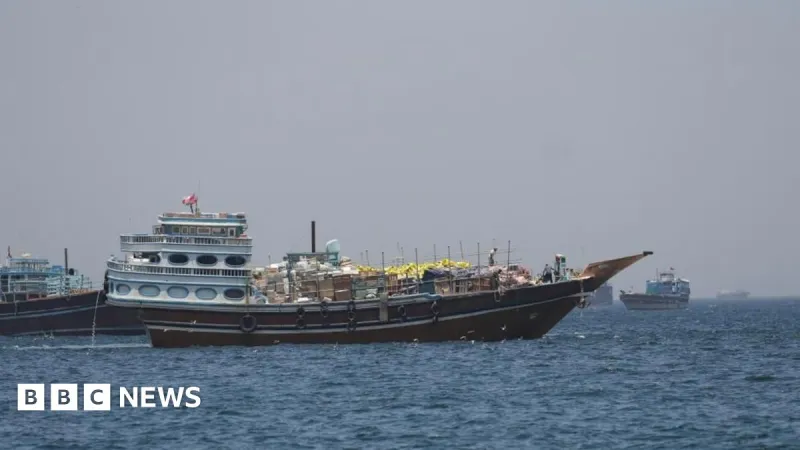 US 'Project Freedom' Aims to Guide Ships in Strait of Hormuz